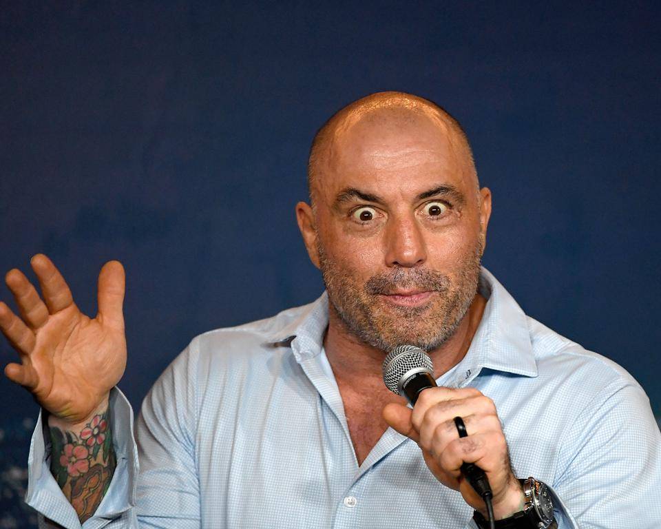 Роган назвав найвеличнішого бійця в історії MMA