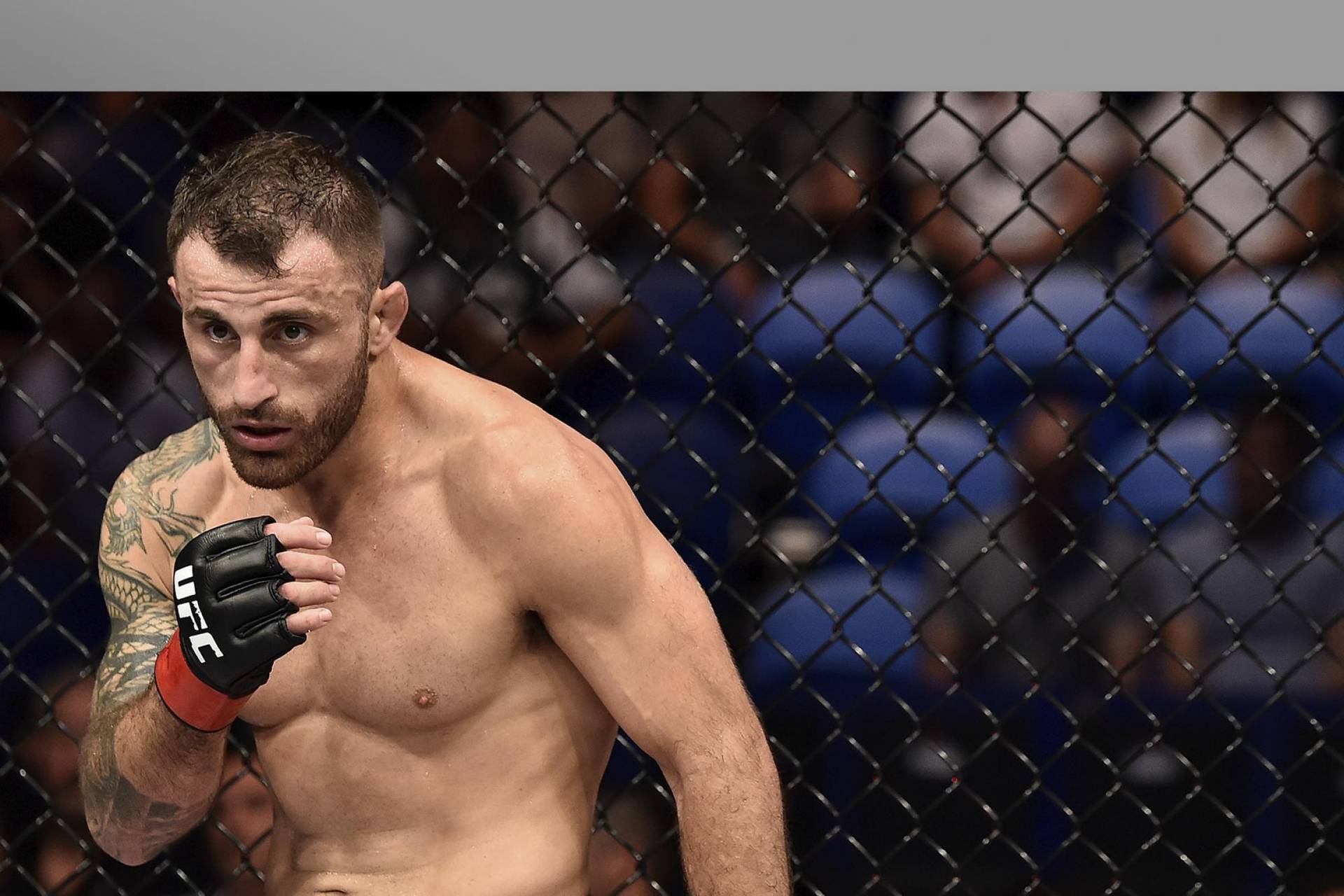 XSport image preview