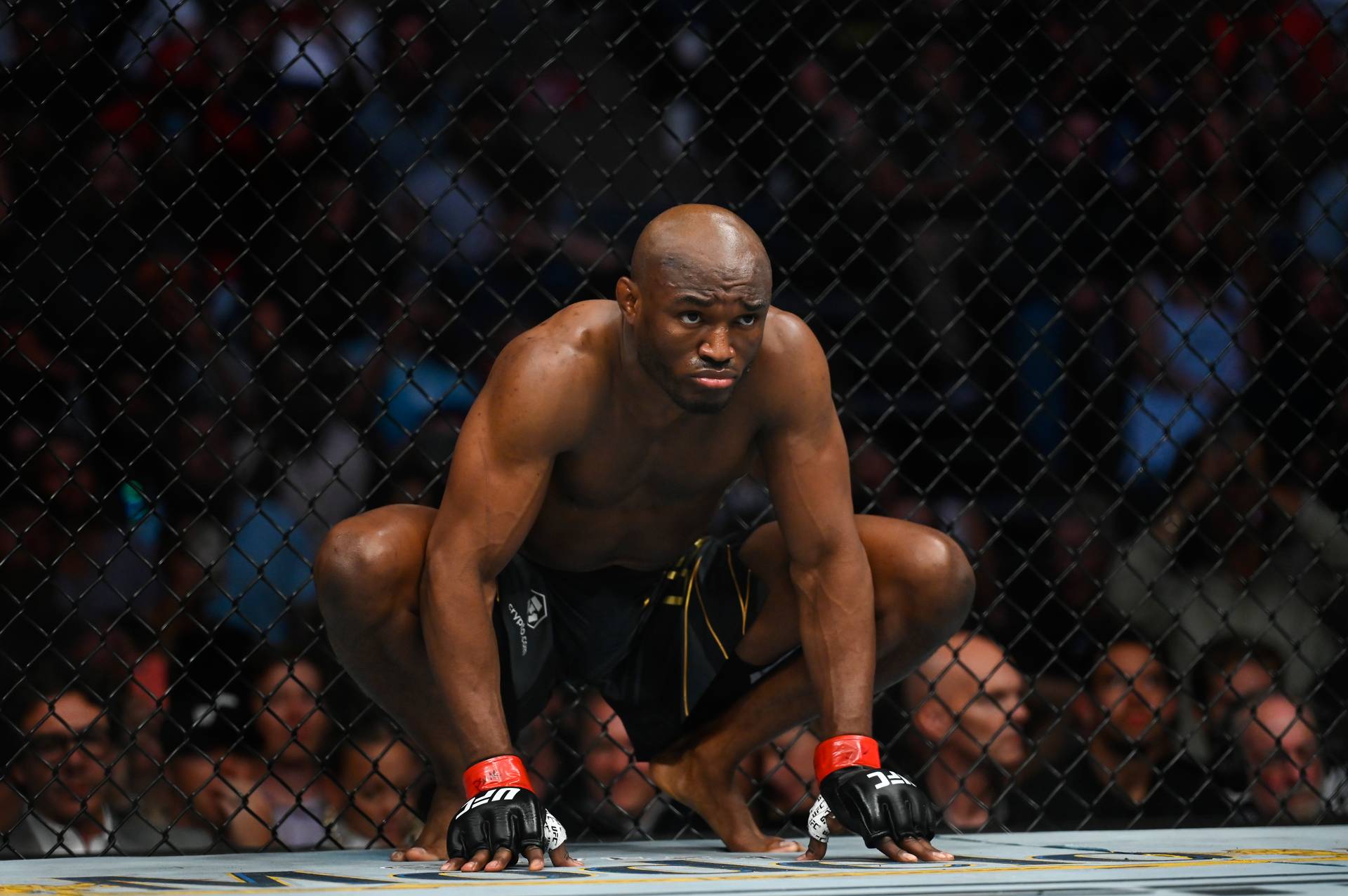 Усман втратив 3 позиції в оновленому рейтингу P4P UFC. Джон Джонс – на вершині