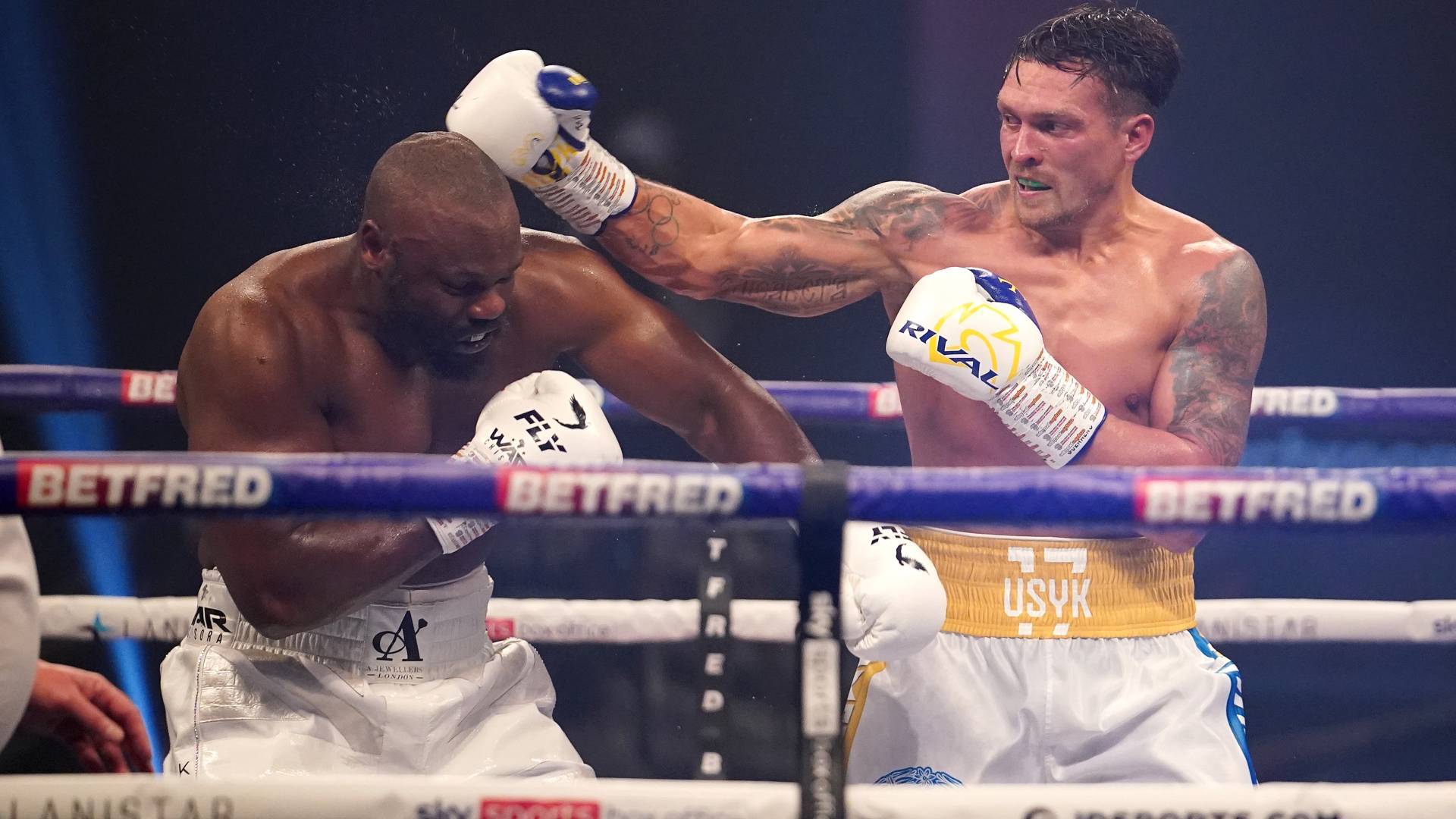 WBC заборонив використовувати рукавички, в яких Чісора боксував з Усик