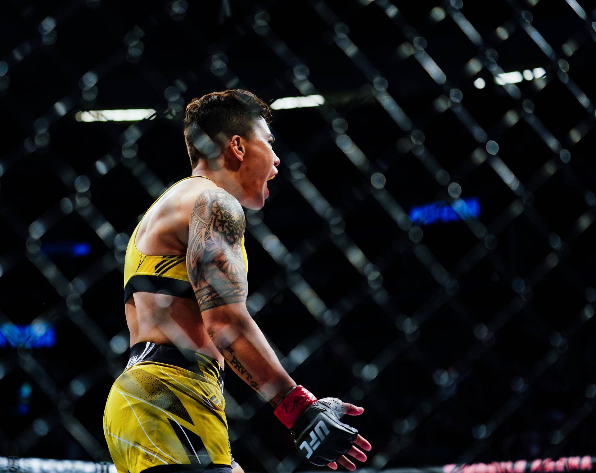 Став відомий файткард турніру UFC Fight Night 219: Андраде – Бленчфілд