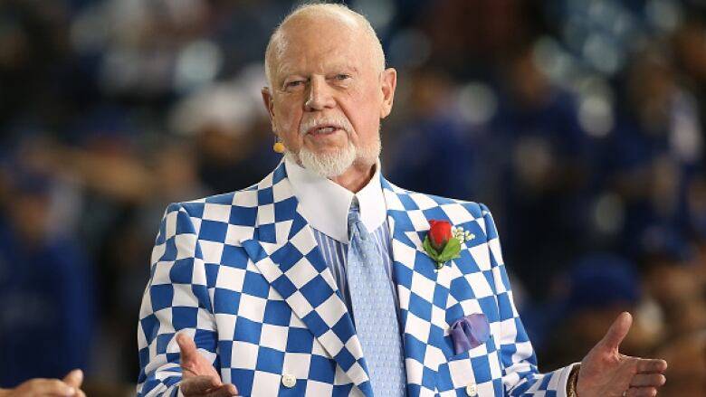 В Канаде уволили известного хоккейного эксперта, который обвинил иммигрантов в неуважении к ветеранам