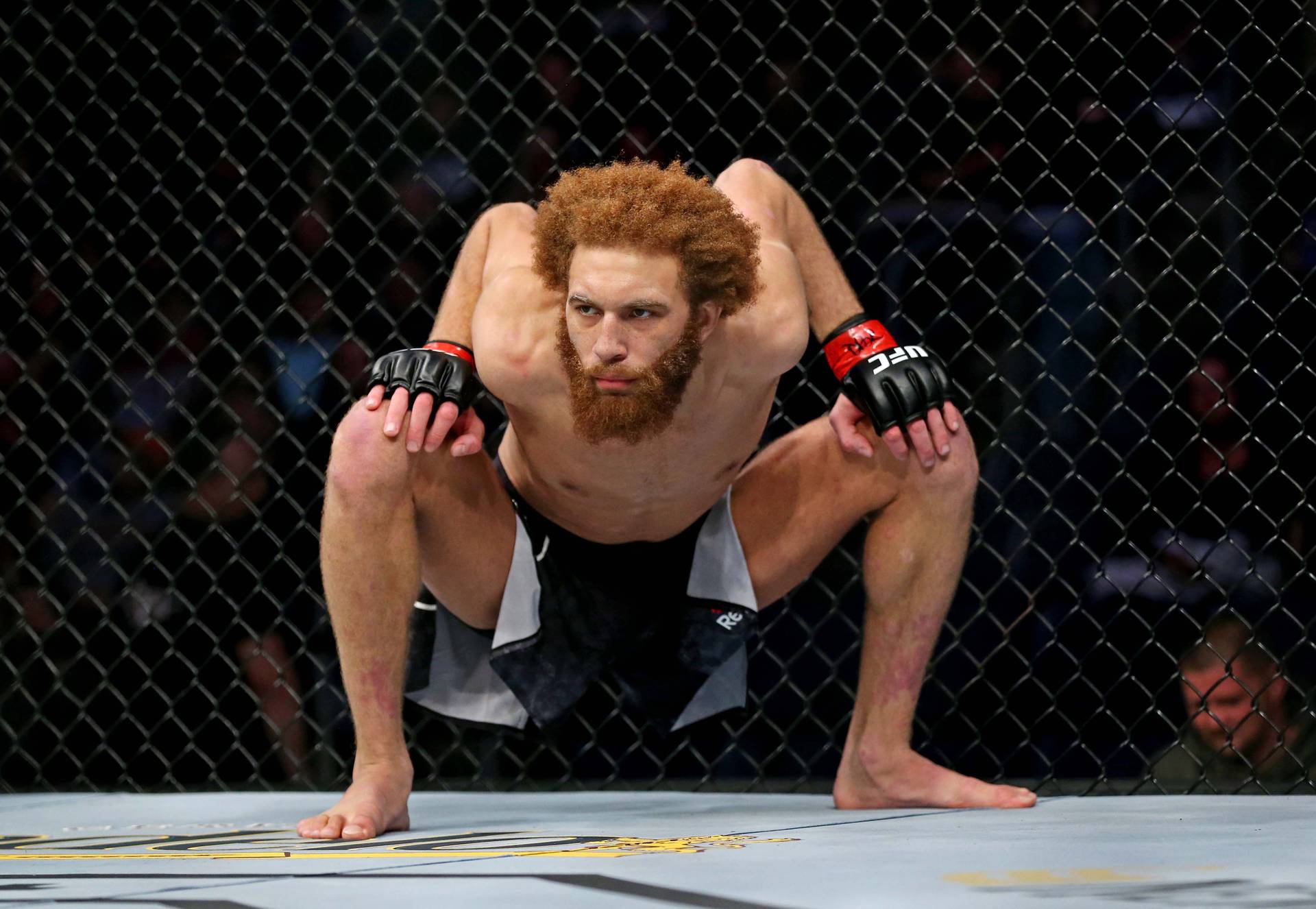 Много пропускал в голову? Имеющий проблемы с психикой боец UFC арестован полицией