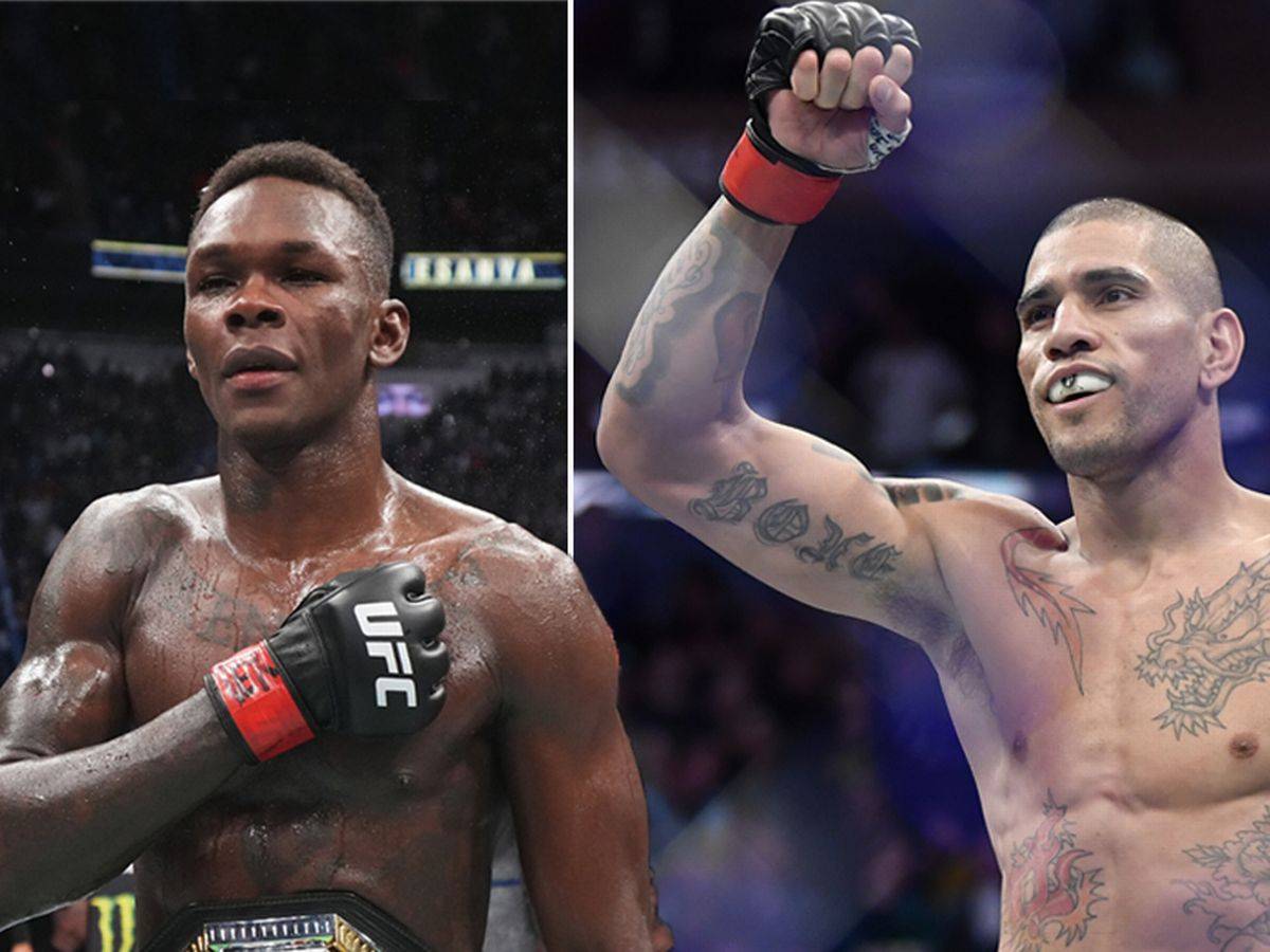 Став відомий файткард турніру UFC 281: Адесанья – Перейра. Свій останній поєдинок проведе легендарний Едгар