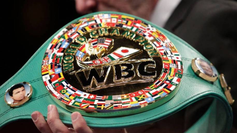 WBC назначил первый бой в новом весе