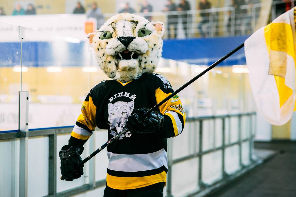 УХЛ. «Белый Барс» – «Днепр». Видео трансляция