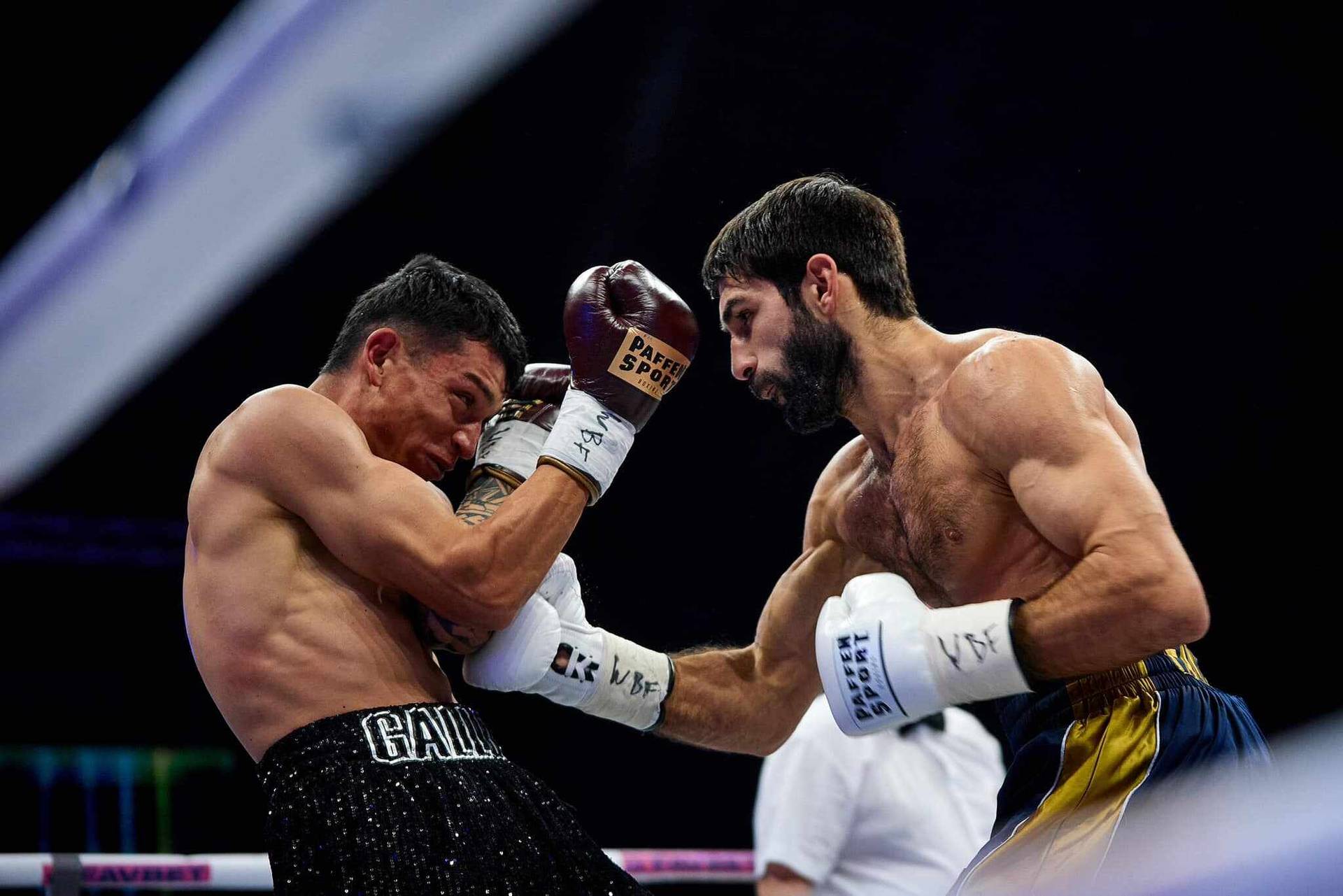 Арам Фаніян: «Ломаченко заслужив знову стати чемпіоном світу»