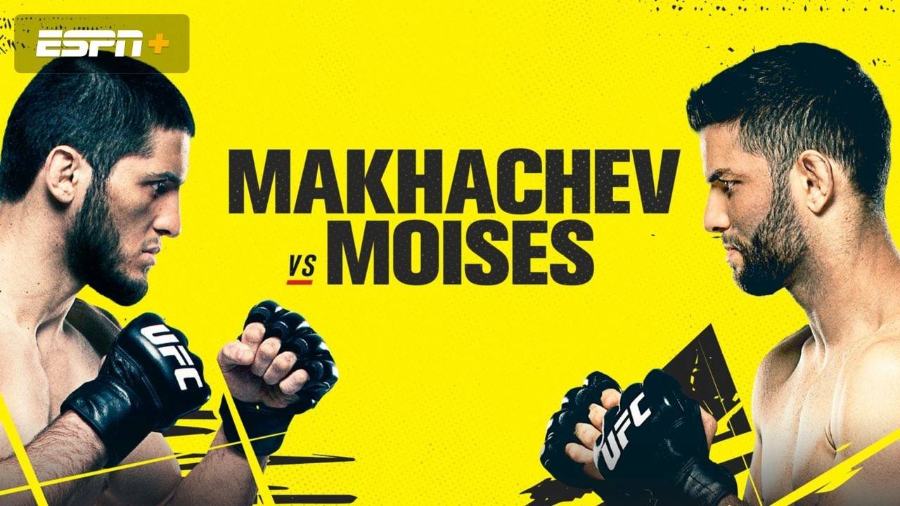 Махачов задушив Мойзеса, Тейт нокаутувала Рено