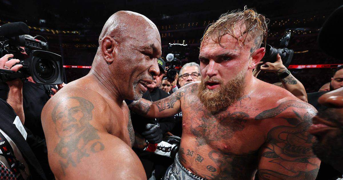 Легенда UFC – про поєдинок Тайсон – Пол: «Цей бій викликав блювотний рефлекс»