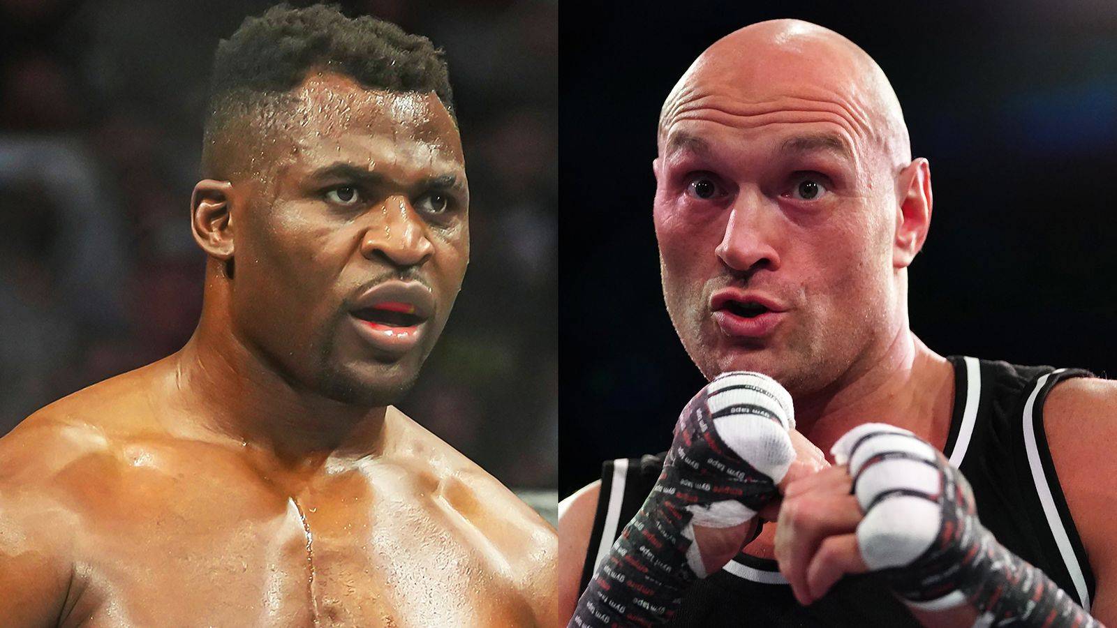 WBC дозволив провести бій Ф'юрі – Нганну