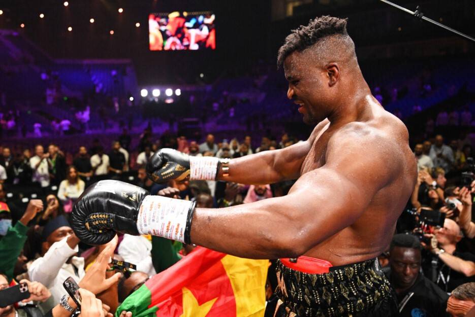 Экс-чемпион мира назвал потенциальных соперников Нганну в боксе