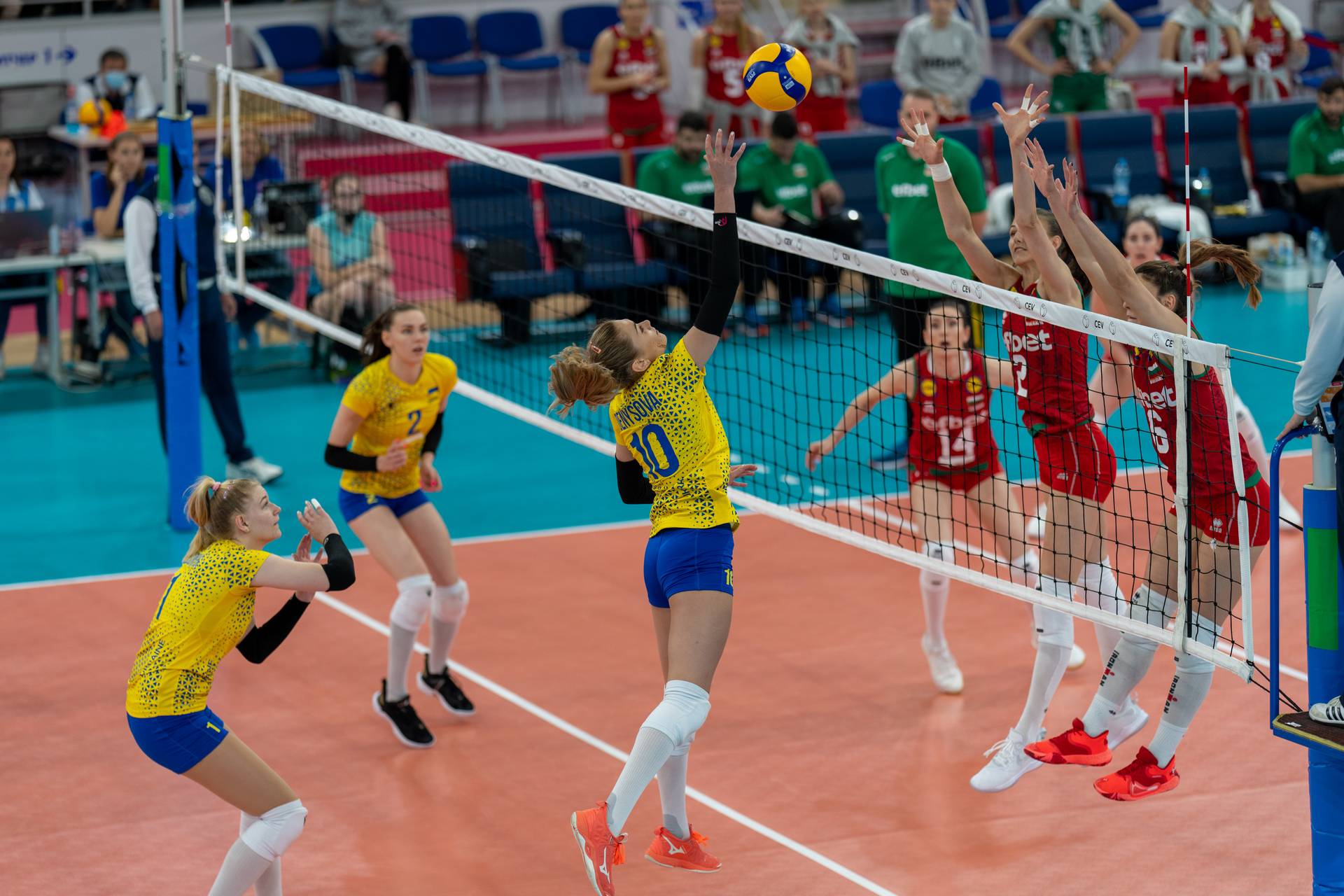 Женская сборная Украины на тренировочном сборе проведет два спарринга с чемпионками Золотой Евролиги-2021