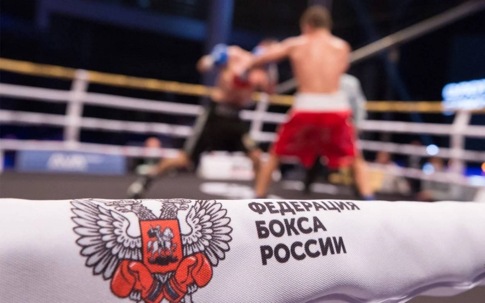 У російських боксерів проблеми з екіпіровкою