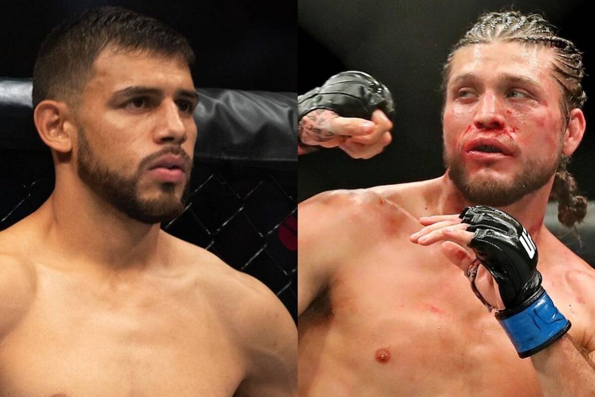 У UFC почали працювати над боєм Родрігеса і Ортеги