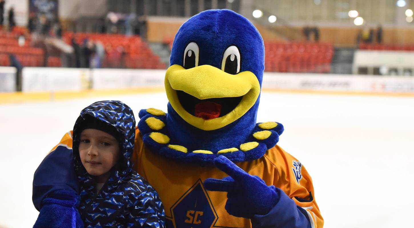 СК «Сокіл» оголосив ім'я клубного талісмана