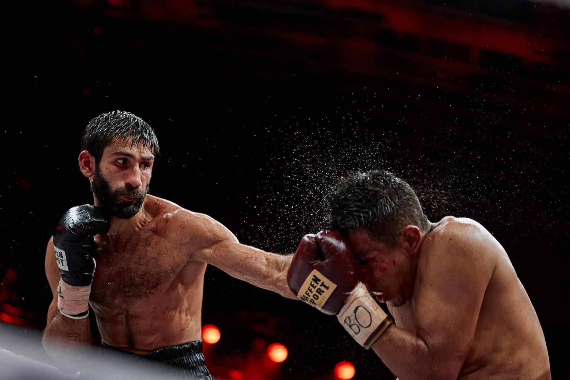 Український чемпіон WBO повернувся до тренувань після завоювання титулу