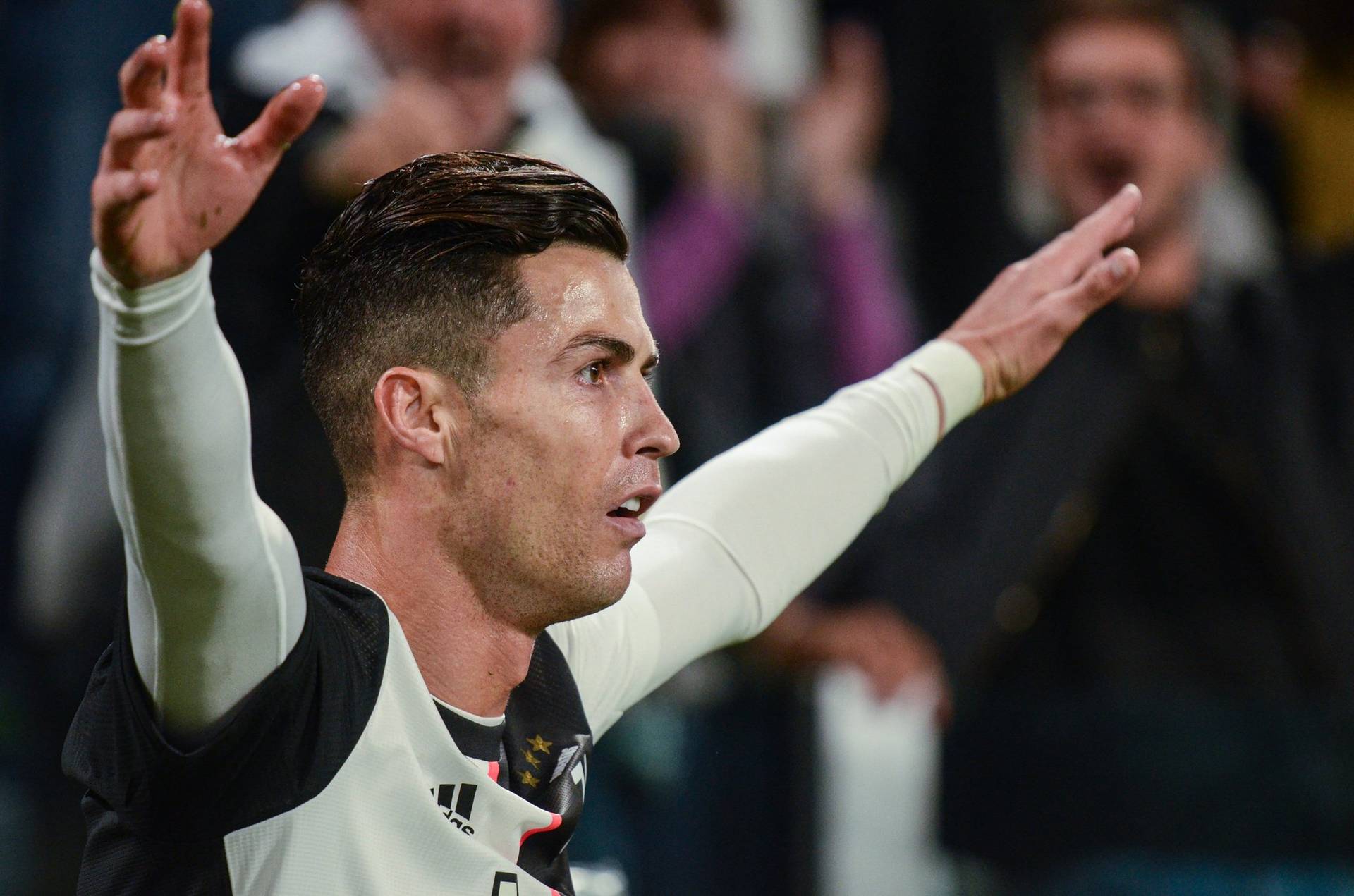 XSport image preview