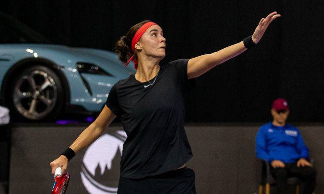 Калініна зіграє у фіналі турніру WTA у Франції