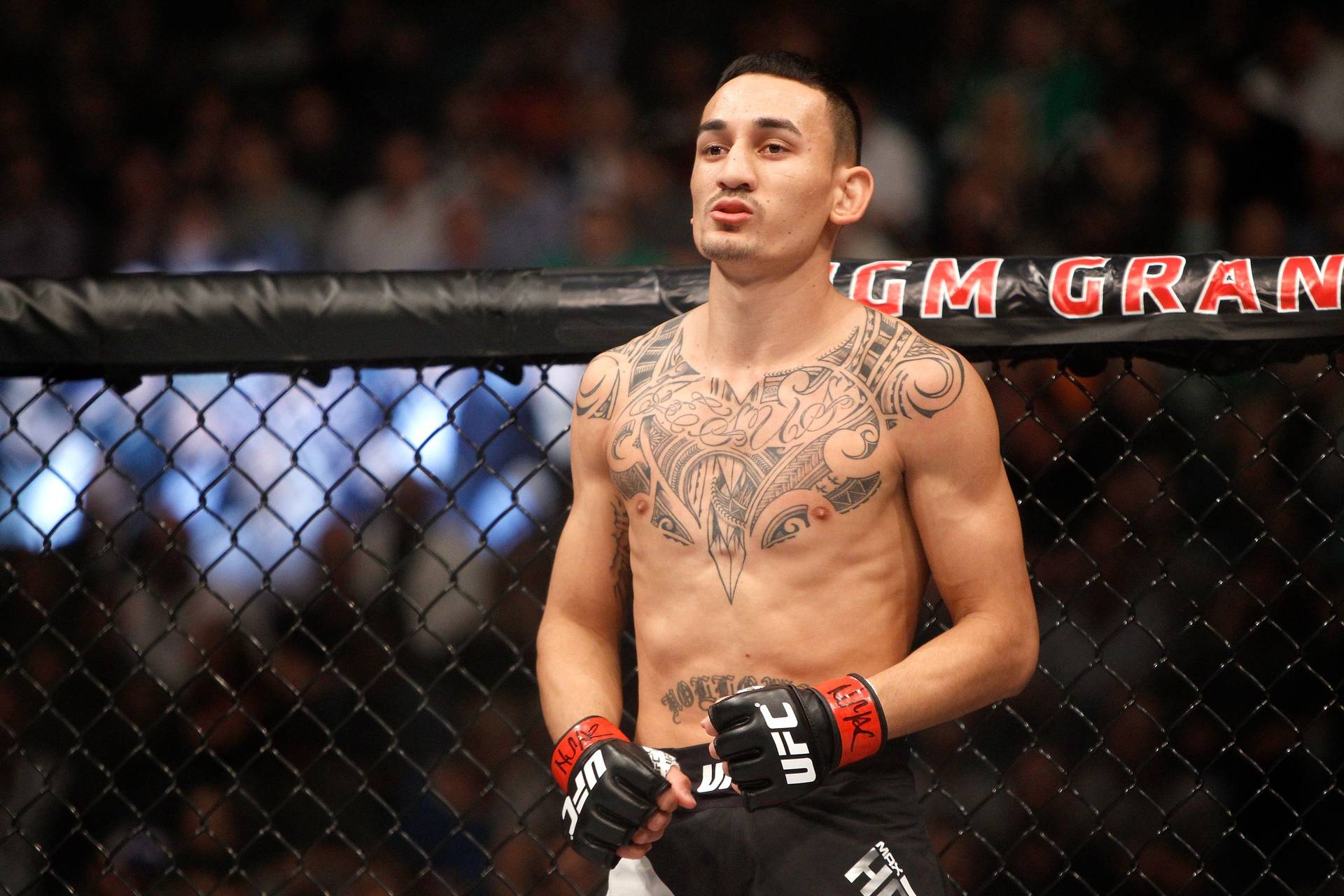 Холловэй получил следующего соперника в UFC