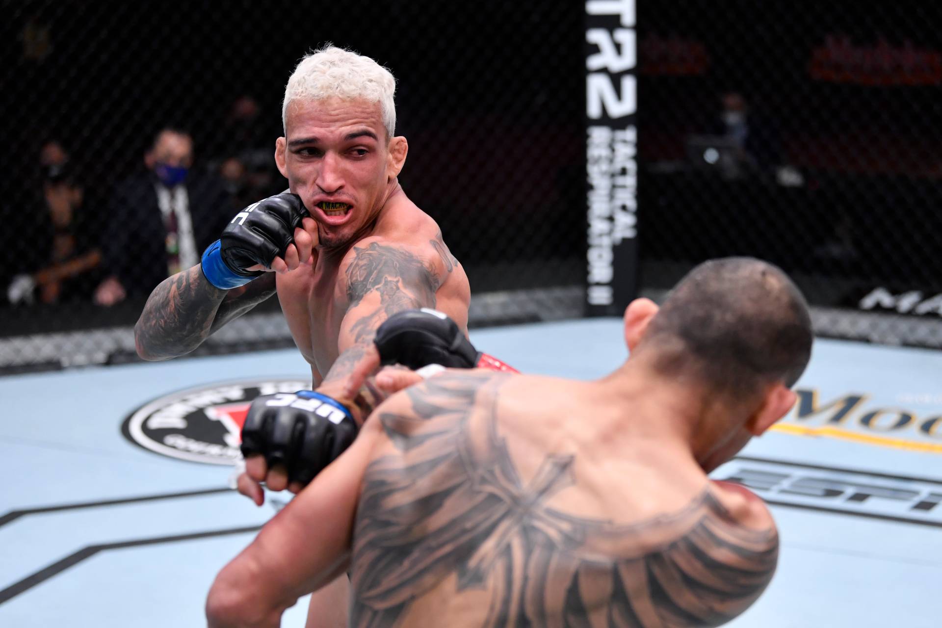 XSport image preview