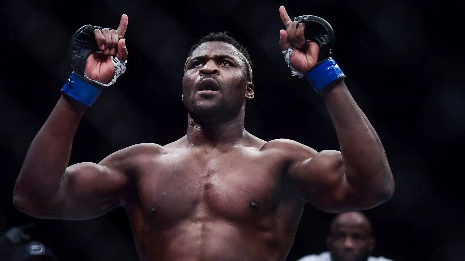 Нганну за бой с Фьюри заработал больше, чем за все бои в UFC