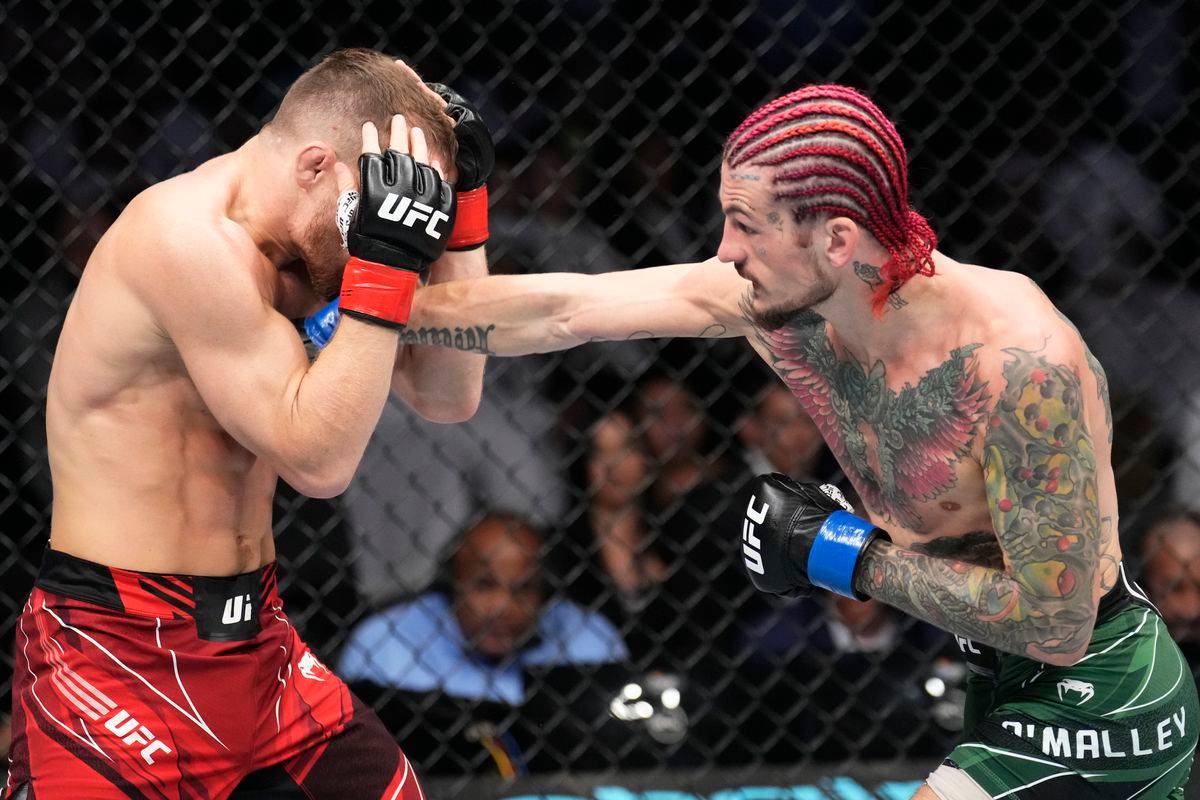 О’Мэлли после победы над рашистом яном взобрался на вершину рейтинга UFC легчайшего дивизионе