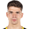 Biberovic T.
