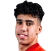 Fadel Hamad Ali Salama