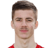 Luka Ilic
