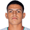 Alejandro Jesus Bran Flores