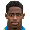 Collin Seedorf
