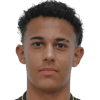 Joao Araujo