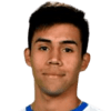 Alexander Aravena