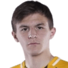 Вячеслав Швырев