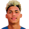 Карел Perez