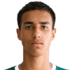 Vitor Reis