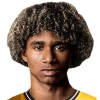 Pedro Lima