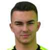 Silviu Шмаленя