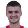 Leonat Vitija