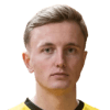 Ветле Шервік