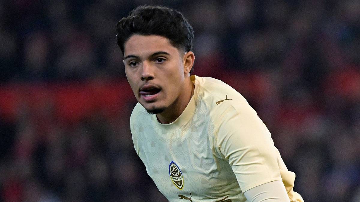 Лука Мейрелліш. Фото: ФК Шахтар