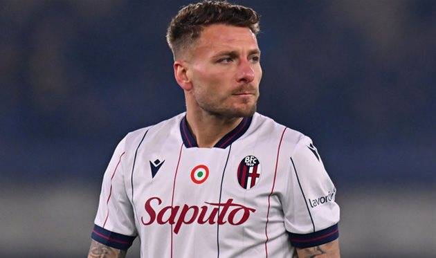 Іммобіле234234