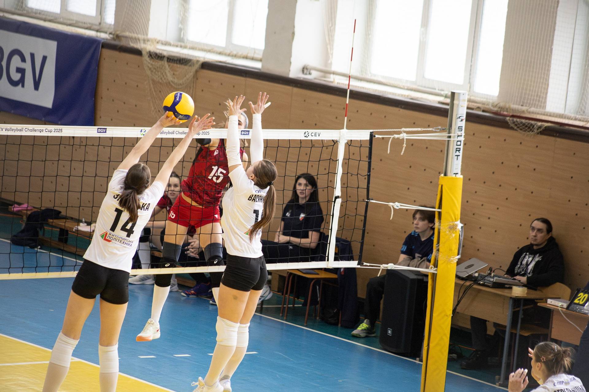 Фото: Полісся