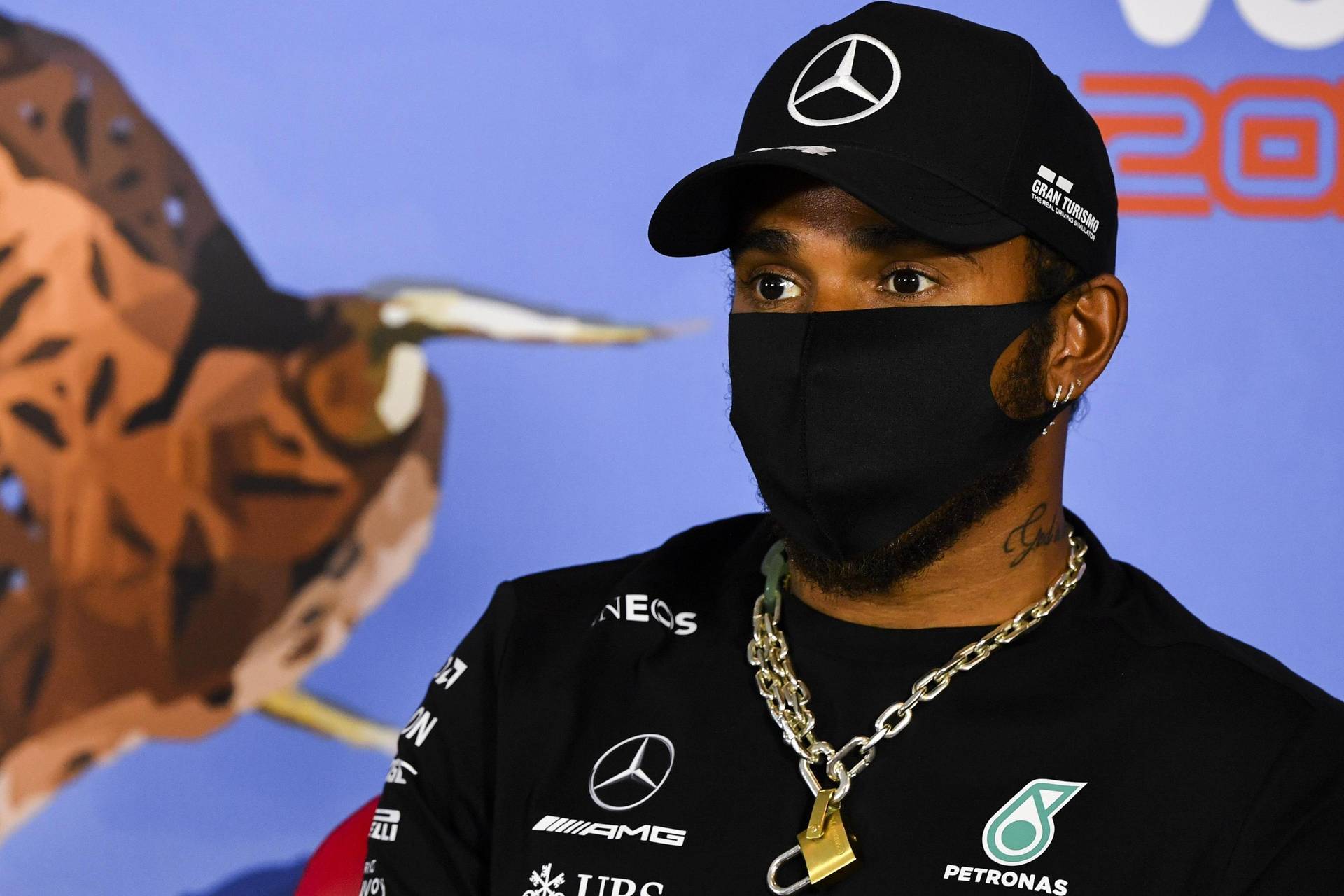 XSport image preview