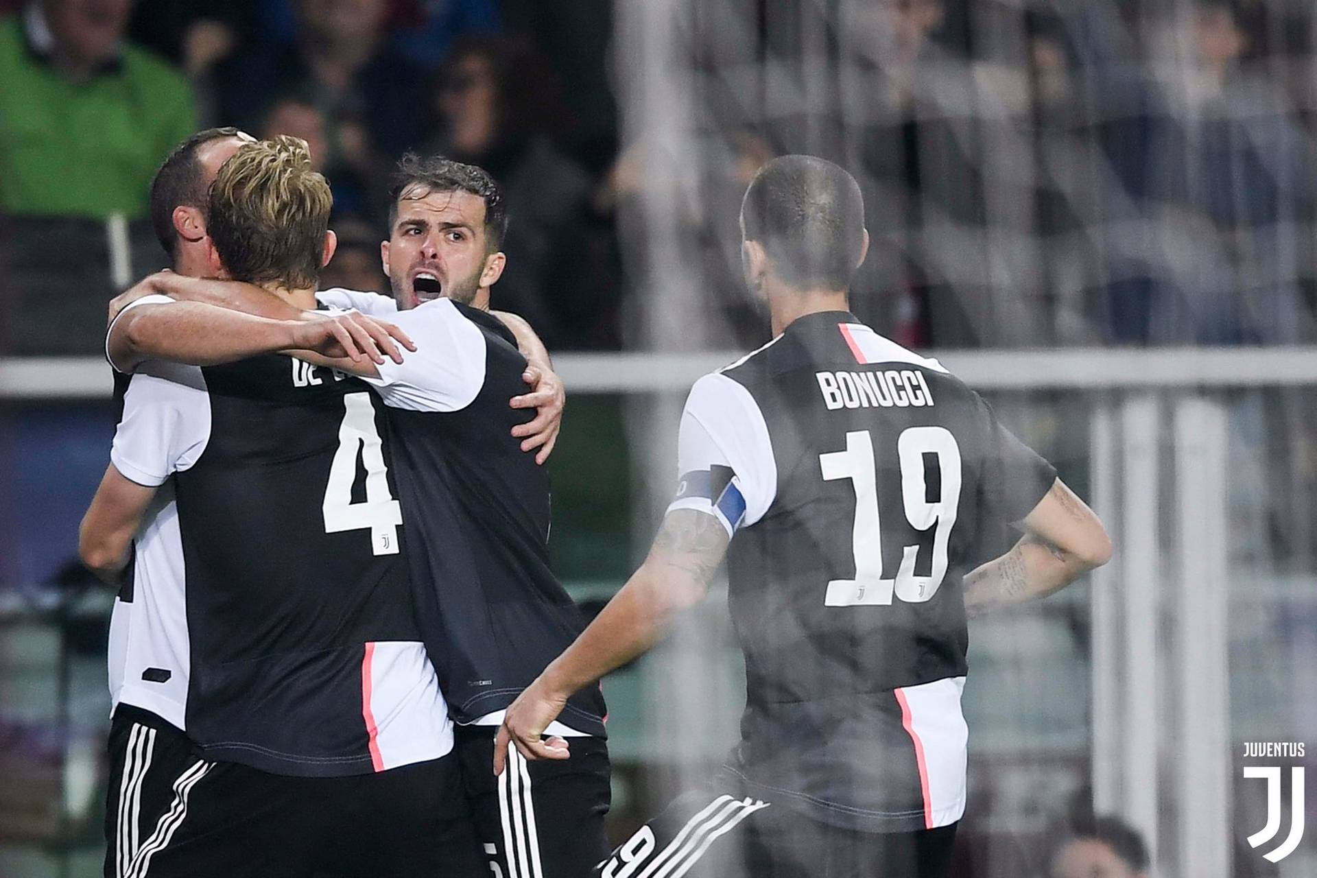 XSport image preview