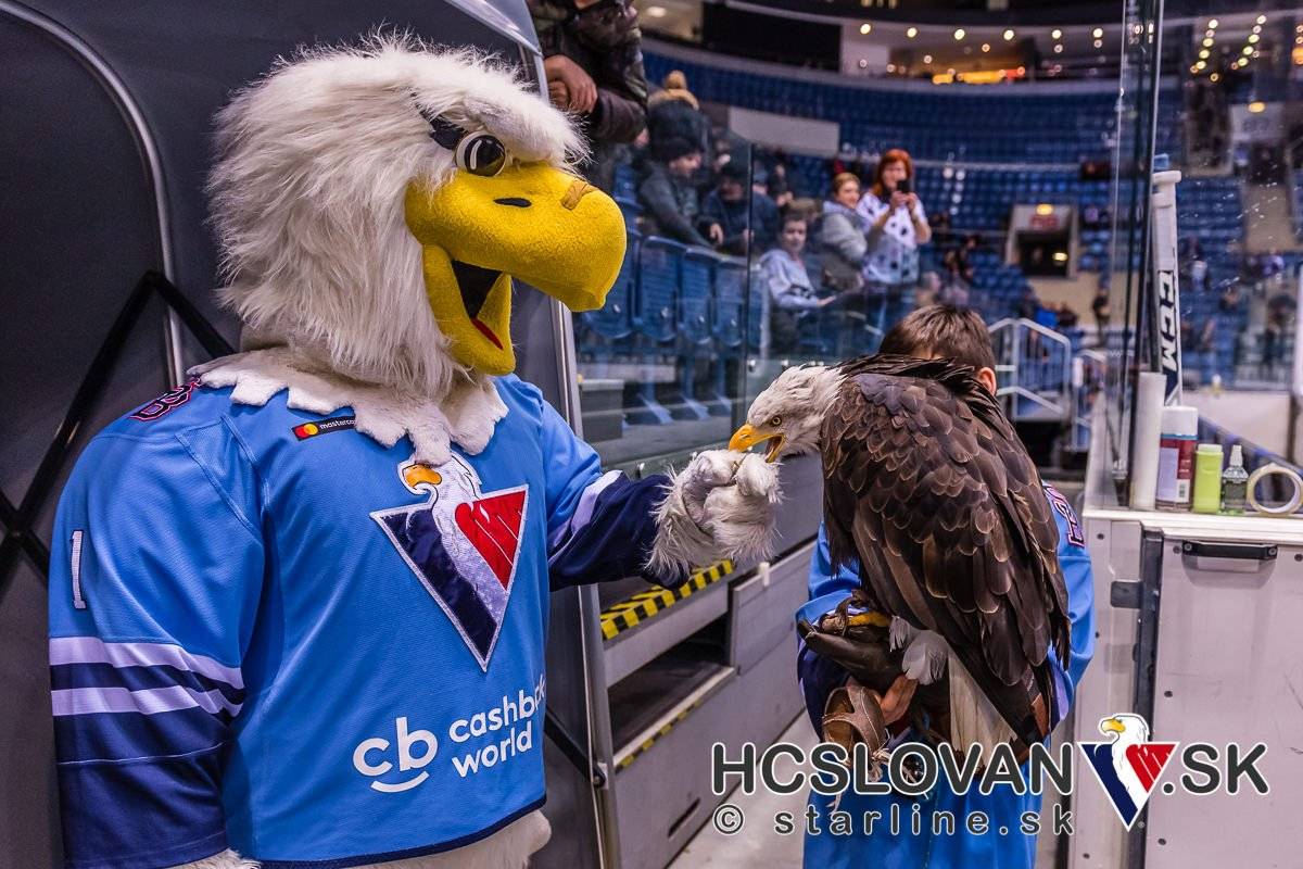 XSport image preview