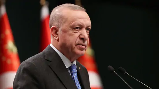 Ердоган засудив напад президента Анкарагюдж на суддю