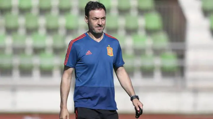 Тренер Испании: «Игроки Испании верили в нашу идею»