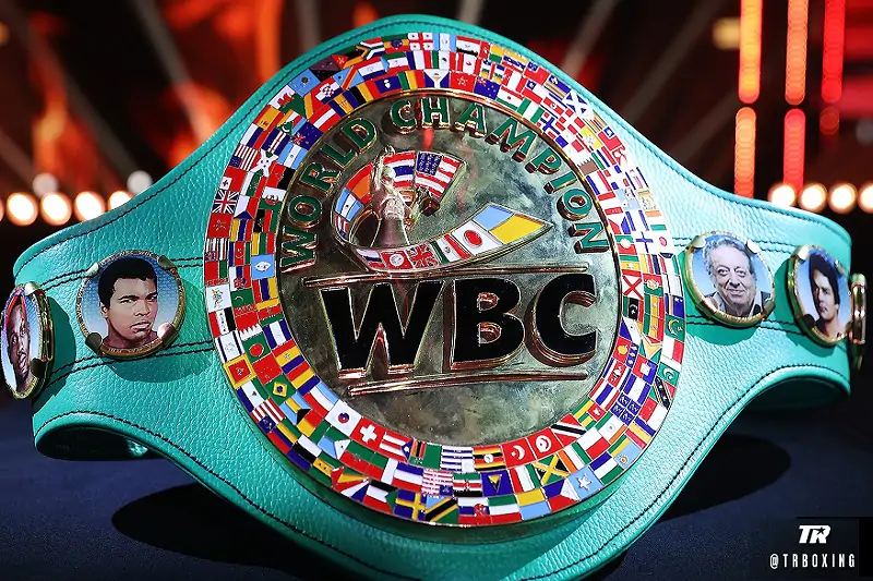 WBC введет пояс чемпиона Украины. Когда-то в Киеве эту организацию спасли от банкротства