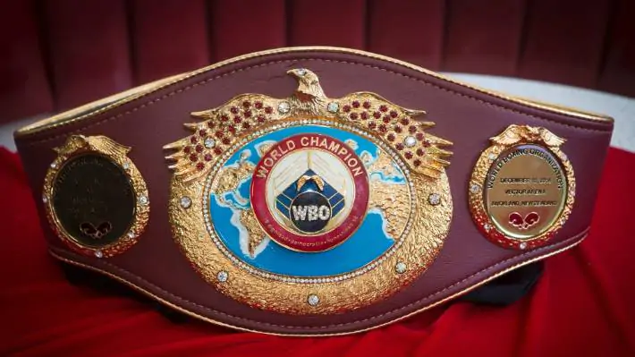 WBO отменила турнир за звание претендента на пояс Ломаченко